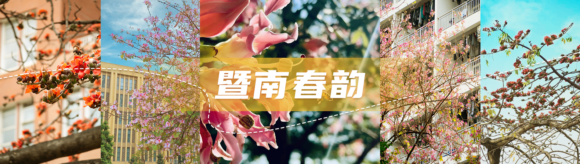暨南春韵